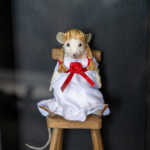 Shadowbox Taxidermy Mouse - Annabelle - The Conjuring Universe - Creepy Doll - Glass box - The Warrens - Occult