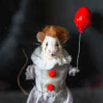 Shadowbox Taxidermy Mouse - Pennywise - It - Stephen King - Derry - We all float down here