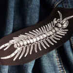 Centipede Patch - insect patch, nature patch, crust, horror, punk patch, patches for jacket, punk jacket, creepy crawly, bug