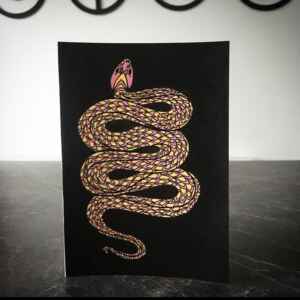 Snake Charmer greeting card