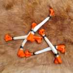 Yes/No Questions Bone Casting Divination Osteomancy Reading Guideance Cleromancy