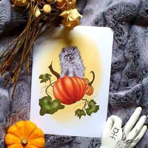 A N G Y Pumpkin kitten A4 Print