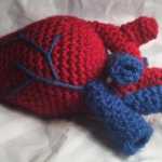 Anatomical human heart stuffie