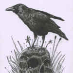 Raven