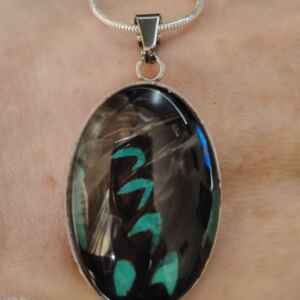 Real, ethically sourced butterfly wing glass pendant necklace