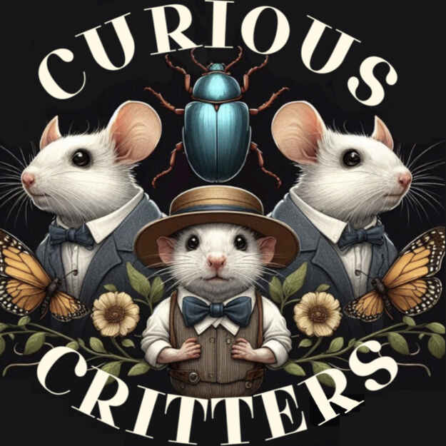Curious Critters