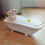 Real mouse in bubble bath taxidermy with bubbles and rubber duck