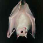 Albino bat print