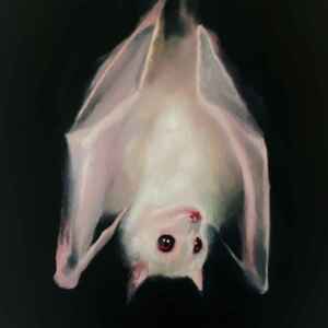 Albino bat print