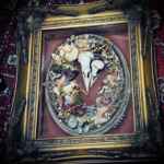 Ethically sourced Magpie & Crow Skulls in a vintage frame