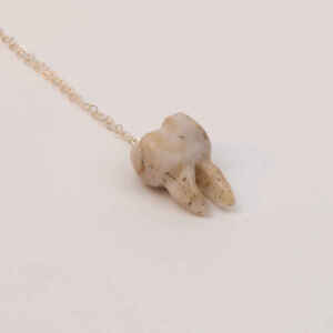 Tooth Necklace