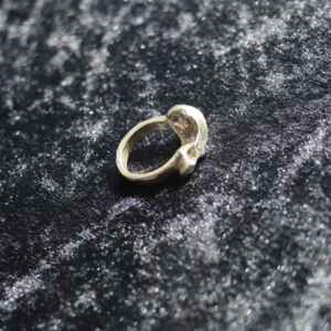 Bird Skull Ring