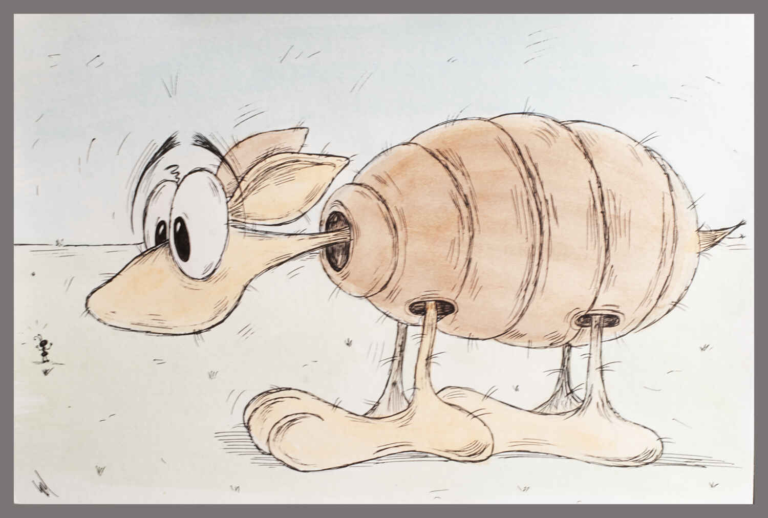 Armadillo