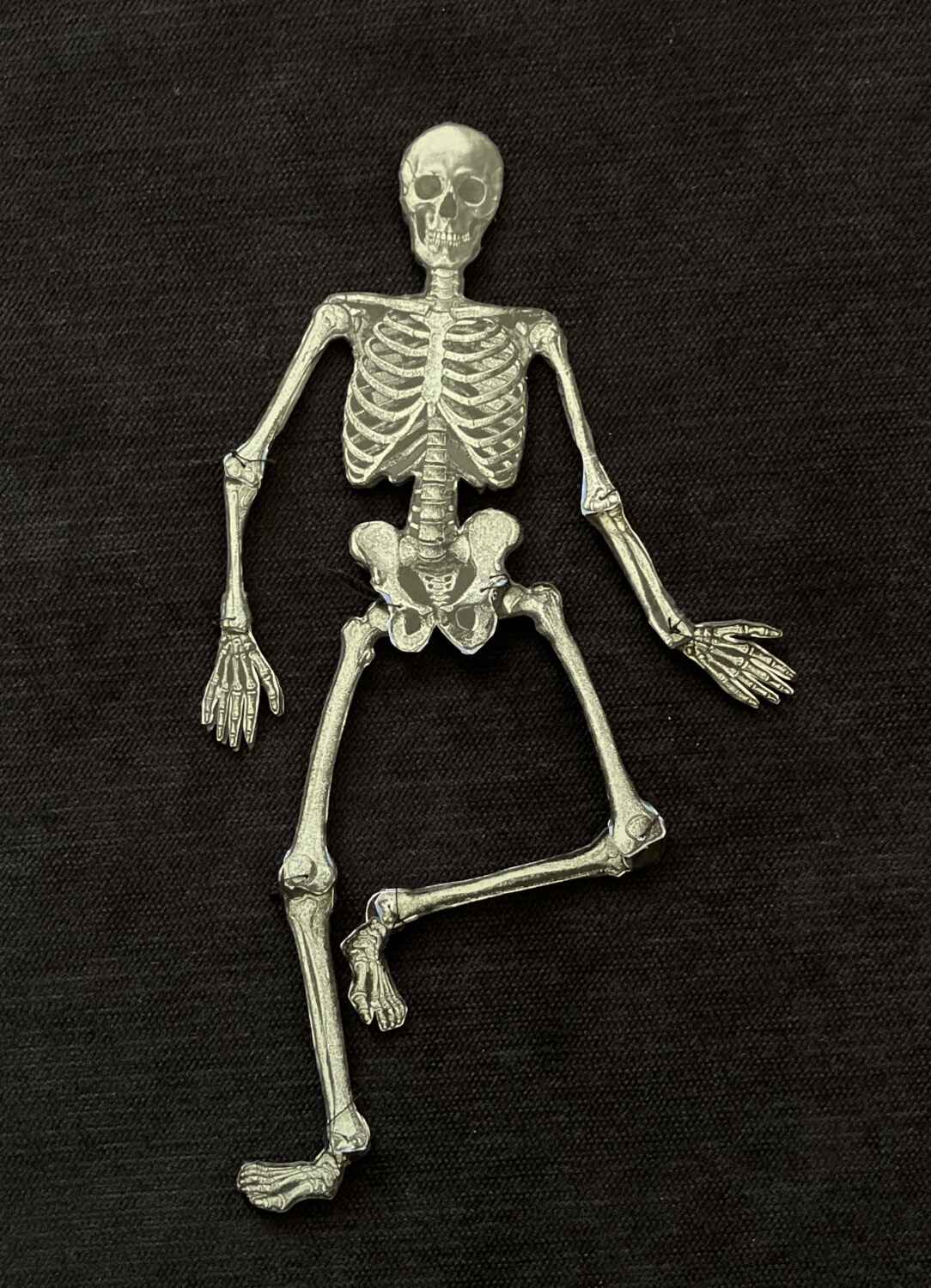 OriginalPhoto-732703168.258713