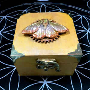 Wood Jewellery Trinket Box Steampunk Gold Clay Moth Butterfly Quirky Handmade