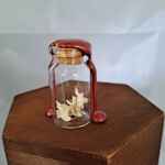 Small curio jar containing snake vertebrae
