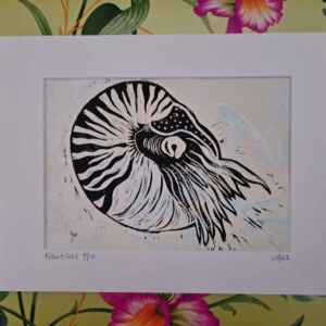 An A4 mounted lino print depicting a nautilus