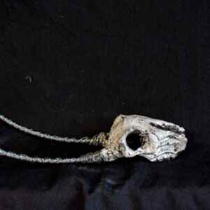 mini handmade ceramic animal skull with antlers
