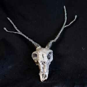 Handmade ceramic mini deer skull