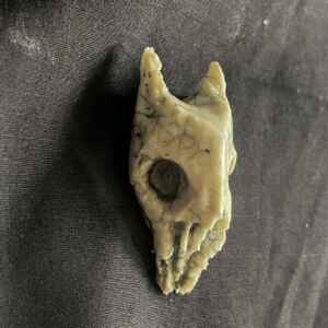 handmade porcelain horned animal skull brooch pin