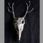 Deer-Bird Hybrid Skull Sculpture