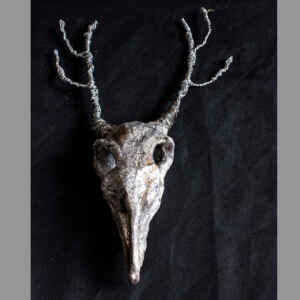 Deer-Bird Hybrid Skull Sculpture