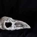 Ceramic Bird Skull sculpture