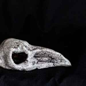 Ceramic Bird Skull sculpture