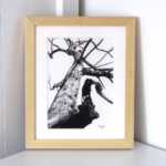 Tree original charcoal drawing