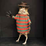 Shadowbox Taxidermy Mouse - Freddy Krueger - A Nightmare on Elm Street - Never Sleep Again