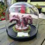 Cocktopus (discovered and captured creature)