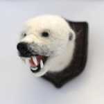 Miniature Faux-Taxidermy Bad Polar Bear