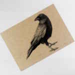 Adult crow, a5 art print on natural recycled card