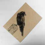 Juvenile crow, a5 art print on natural recycled card