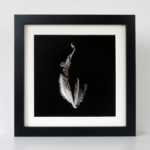 Hanging bat framed art print