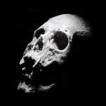 skull charcoal drawing