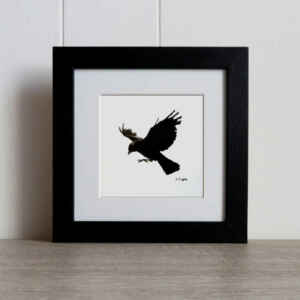 Jackdaw in flight original charcoal pencil art