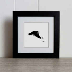 Jackdaw in flight original charcoal pencil drawing