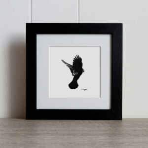 Flying jackdaw original crow drawing