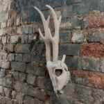 Deer Skull. Vegan Faux Taxidermy Textile Art Wall Mount.