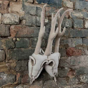 Conjoined Deer Skulls. Vegan Faux Taxidermy Textile Art