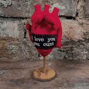 3d Fabric Anatomical Human Heart - I love you you cunt