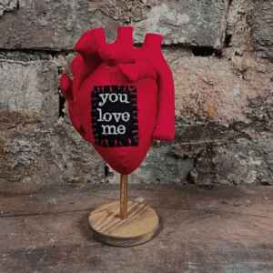 3d Fabric Anatomical Human Heart - you love me