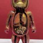 Gore teddy