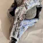 Faux taxidermy ceramic skull sculpture